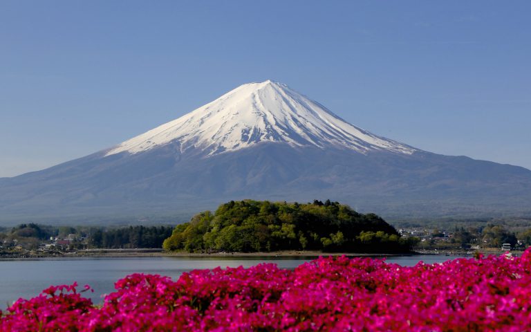 Mt. Fuji